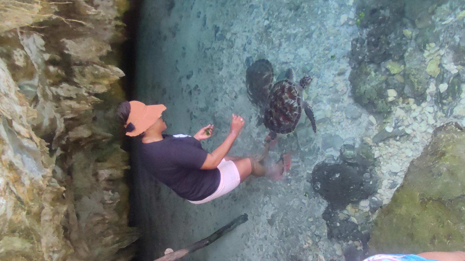 Guest standing in clear shallow turquoise water inside a rocky sea cave with turtles