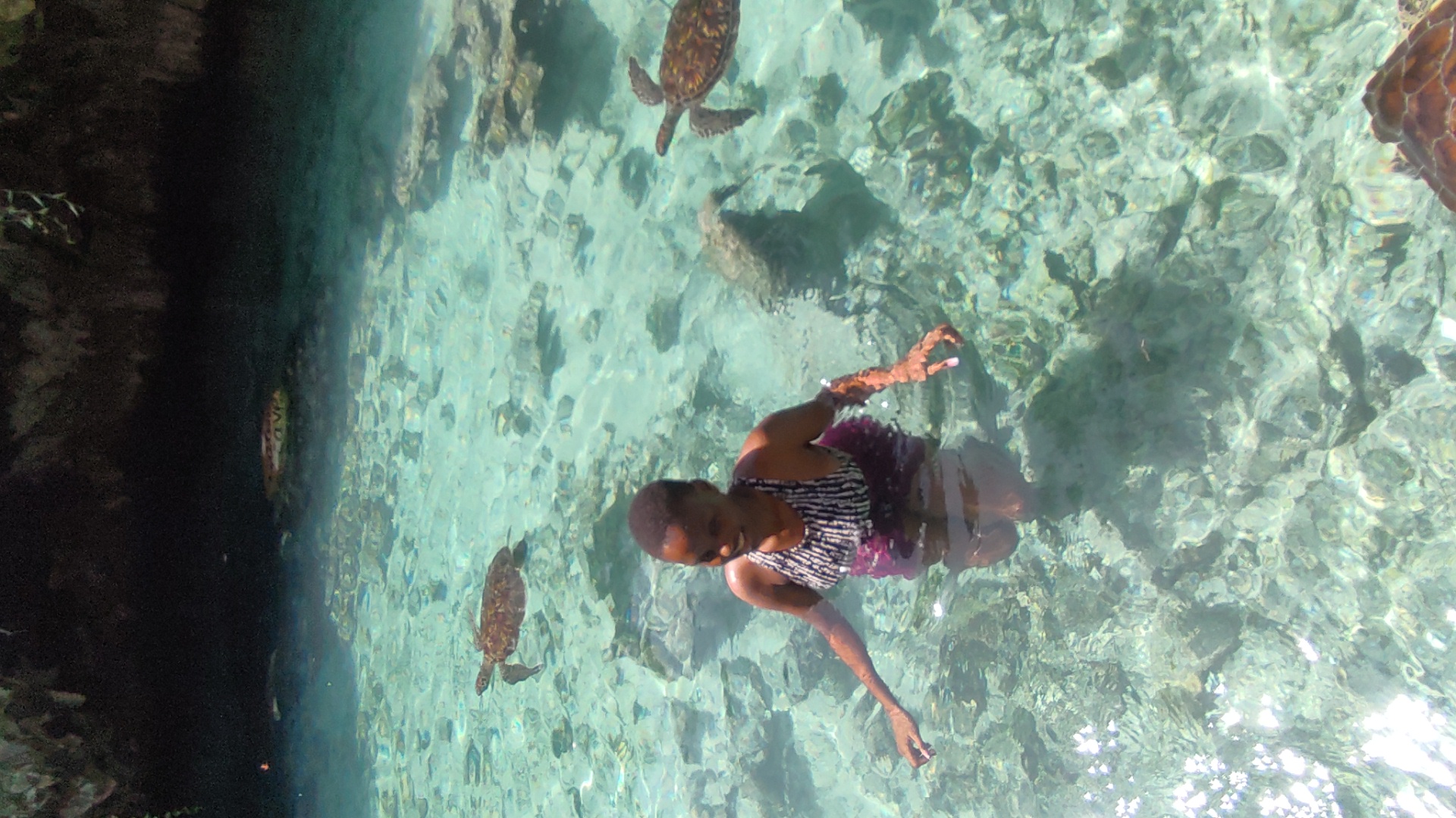 Guest swimming beside sea turtles in a clear turquoise lagoon